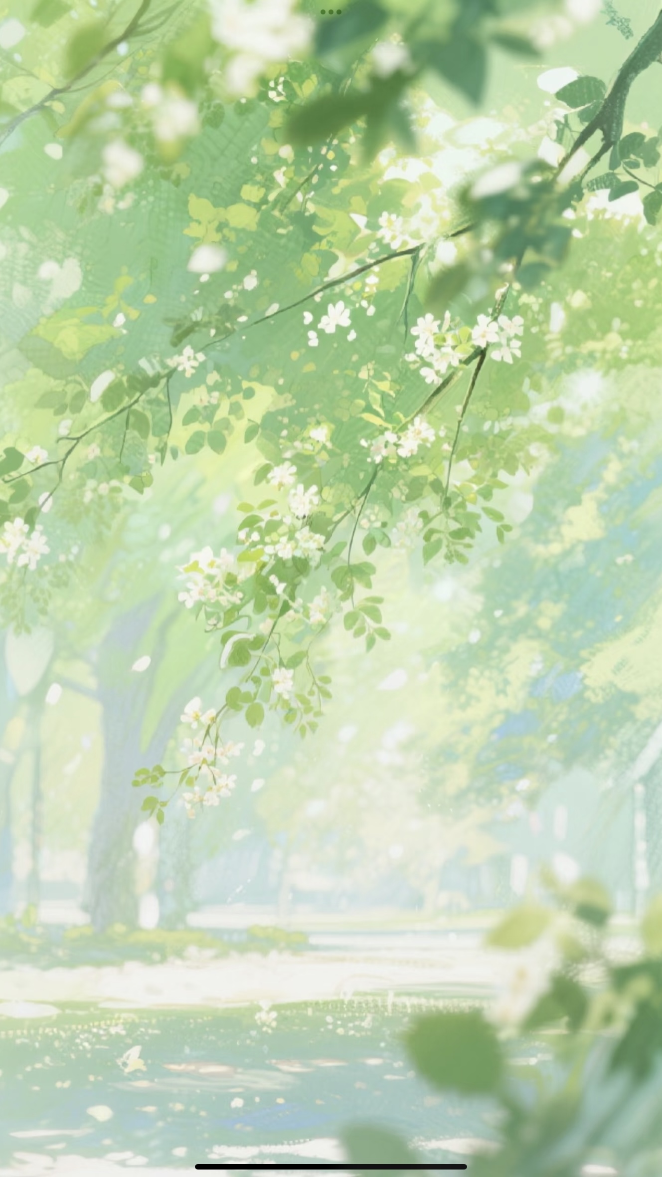 声展