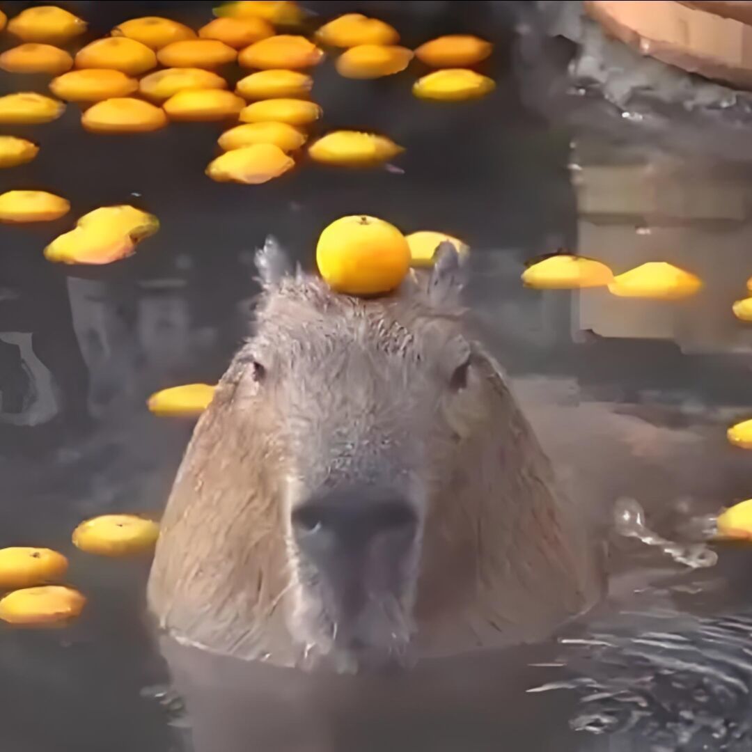 余澜竞