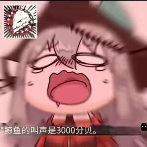 蓝泽